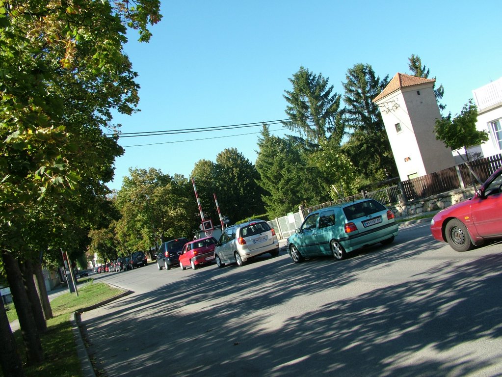 T&S HOCHZEIT04 analog 219b.JPG