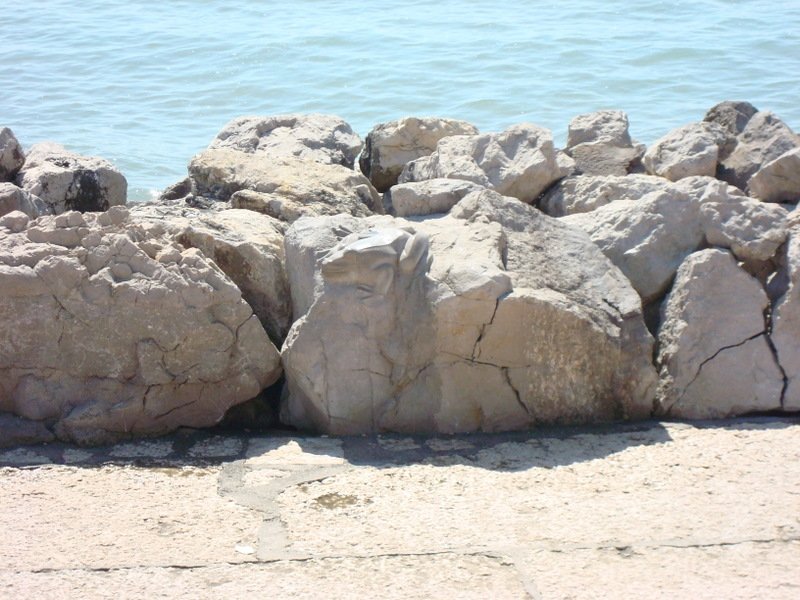 2008-Mai-02 -  [11-10-45] - .jpg