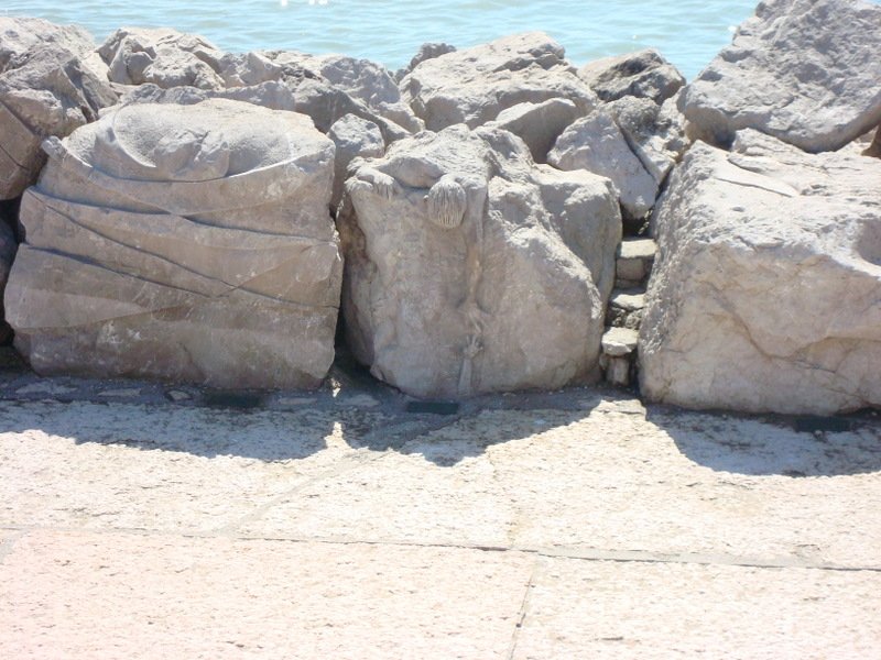 2008-Mai-02 -  [11-12-28] - .jpg