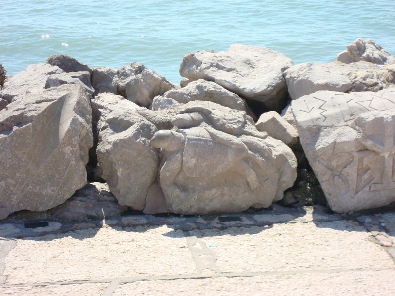 2008-Mai-02 -  [11-12-49] - .jpg