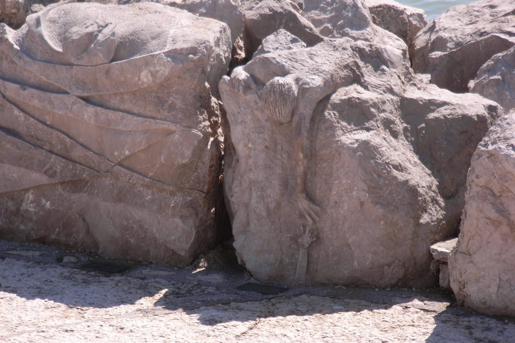 2008-Mai-02 -  [11-18-59] - Bertl.jpg