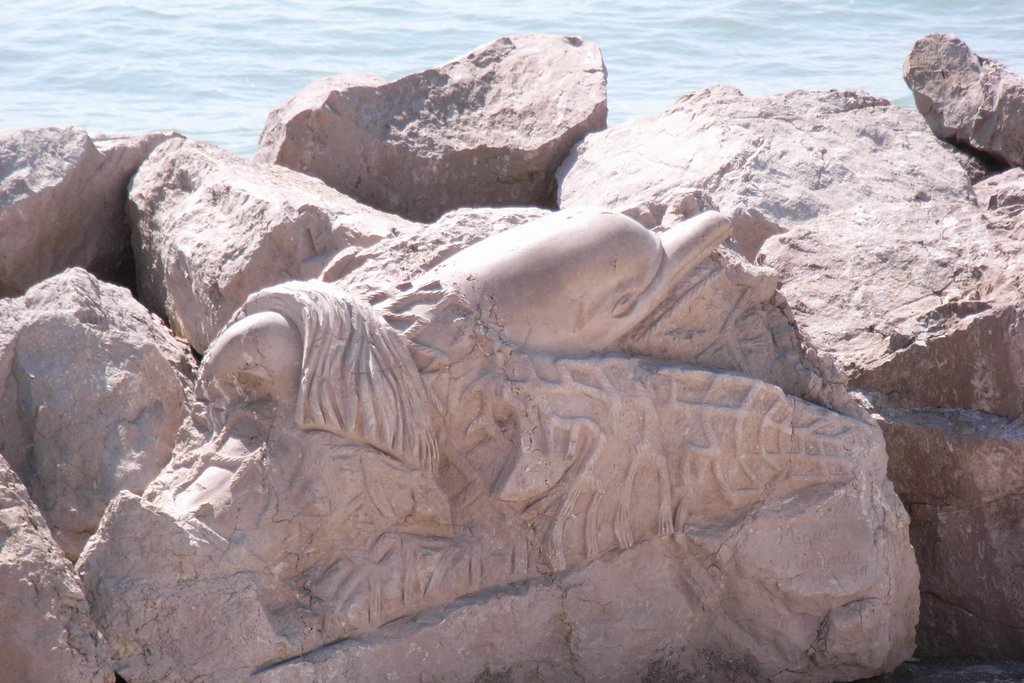 2008-Mai-02 -  [11-19-04] - Bertl.jpg