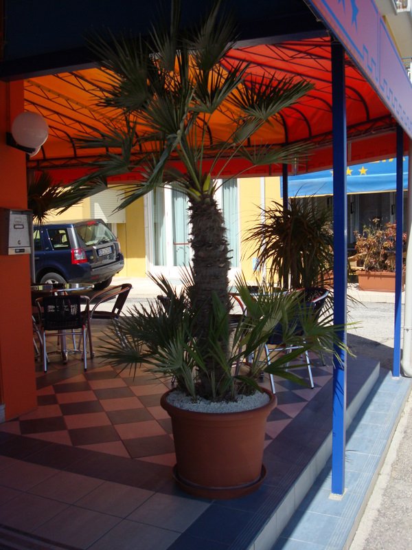 2008-Mai-02 -  [14-35-29] - .jpg