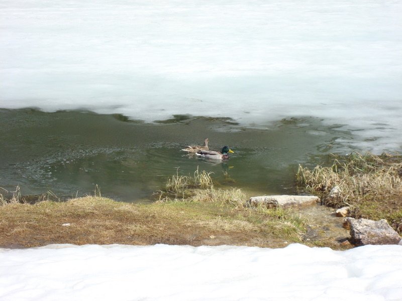 2008-Mai-03 -  [15-54-25] - .jpg