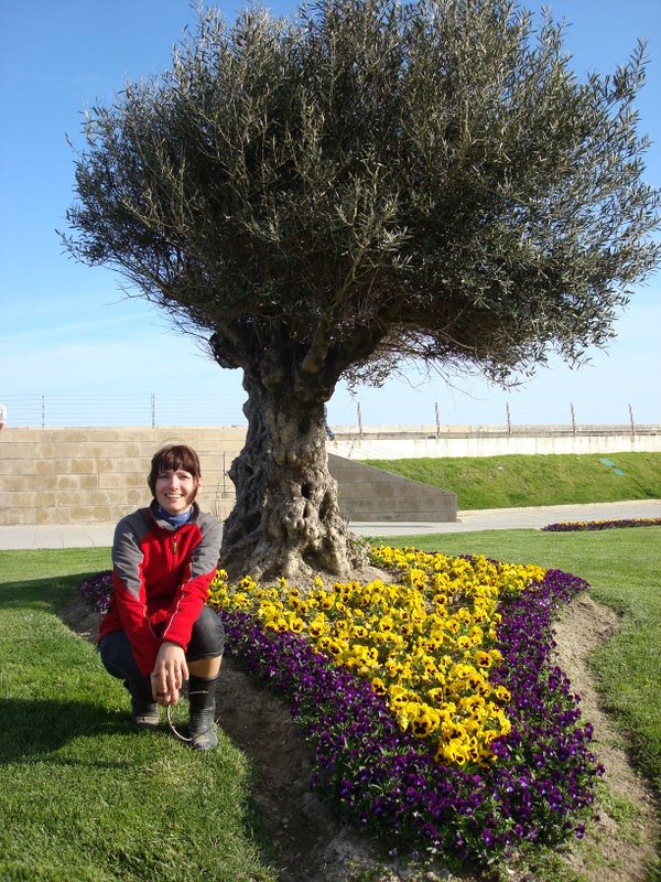 2008-Mai-03 -  [17-42-51] - .jpg