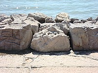 2008-Mai-02 -  [11-10-00] - .jpg