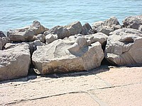 2008-Mai-02 -  [11-10-09] - .jpg