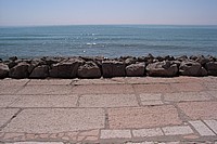 2008-Mai-02 -  [11-16-08] - Bertl.jpg