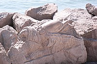 2008-Mai-02 -  [11-19-04] - Bertl.jpg