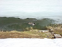 2008-Mai-03 -  [15-54-25] - .jpg