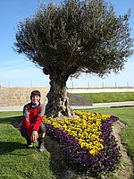 2008-Mai-03 -  [17-42-51] - .jpg