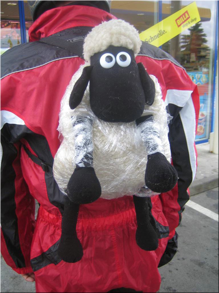 mrbtour2008-05-21 [08-17-24]_hermi.jpg