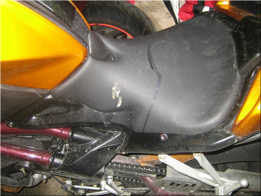 mrbtour2008-05-22 [09-20-09]_hermi.jpg