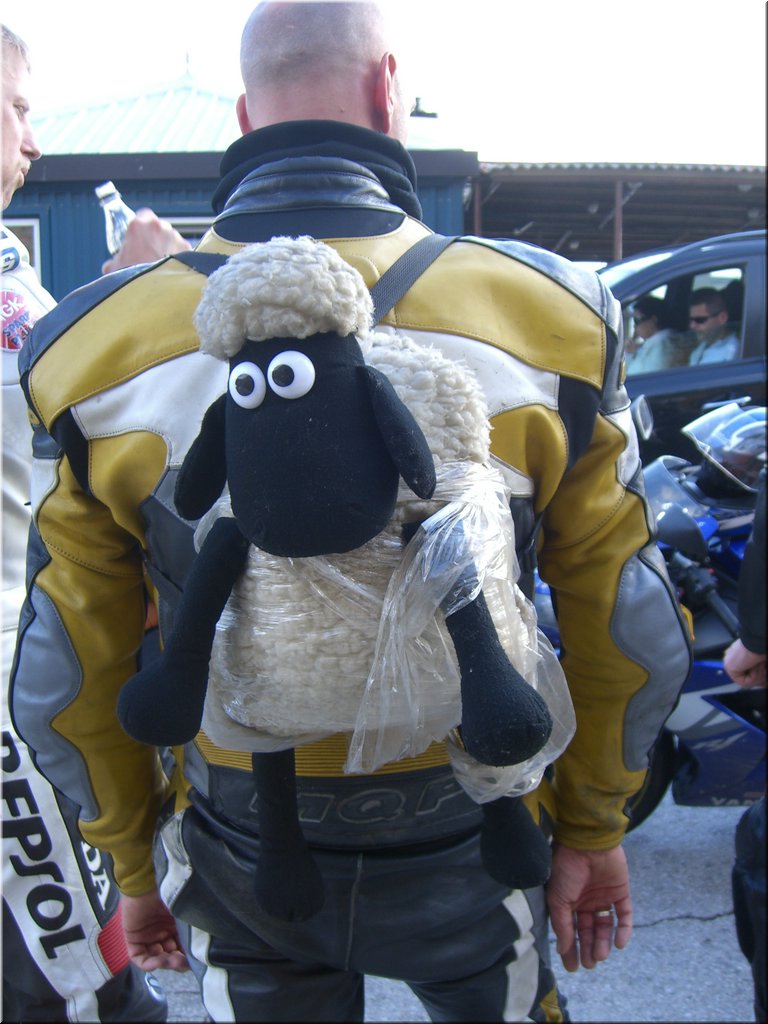 mrbtour2008-05-22 [17-31-49]_markus.jpg