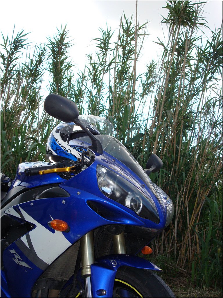 mrbtour2008-05-23 [10-58-38]_martin.jpg