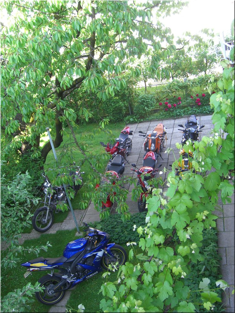 mrbtour2008-05-25 [09-01-24]_markus.jpg