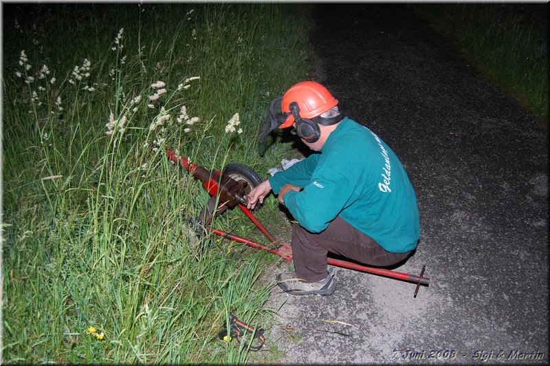 2008-06-07_04-35-06_HERMANN_DSC_1217.JPG