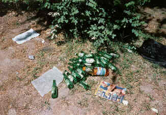 lig99-08.jpg (15023 Byte)